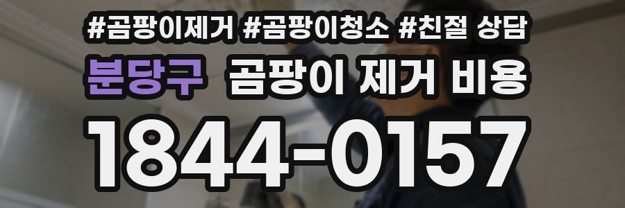 분당구 곰팡이 제거 비용