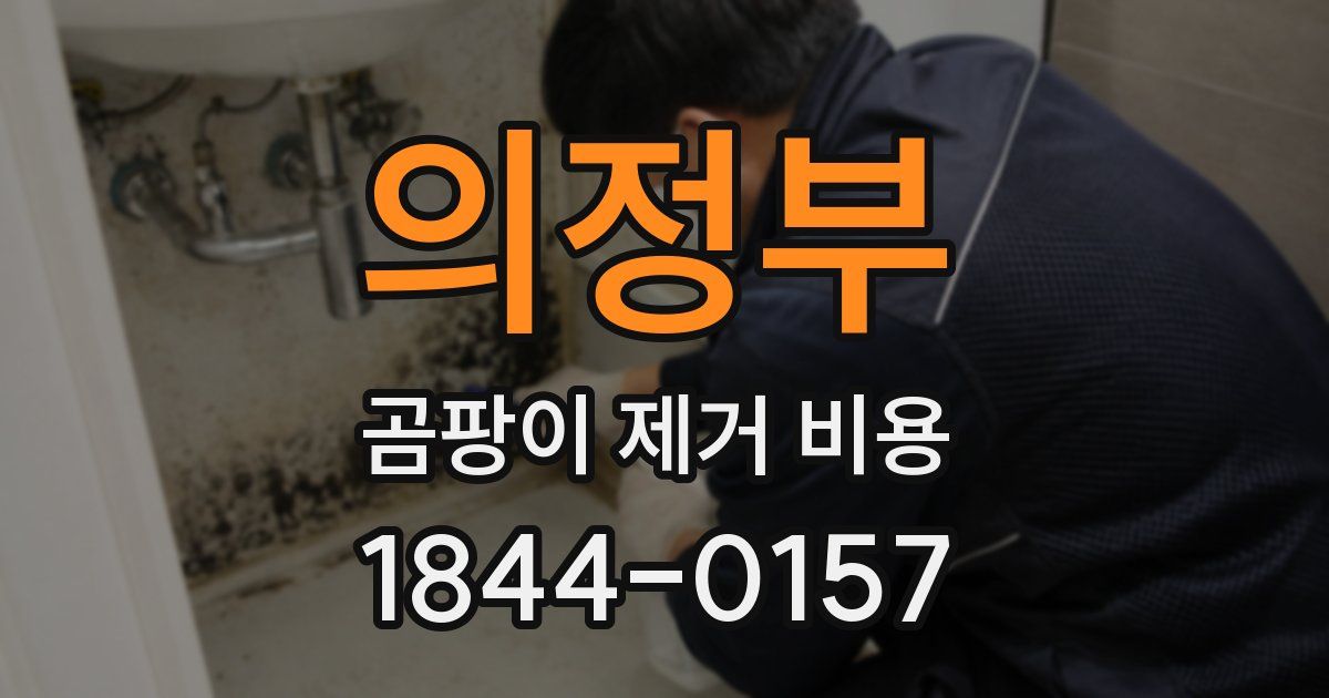 의정부 곰팡이 제거 비용