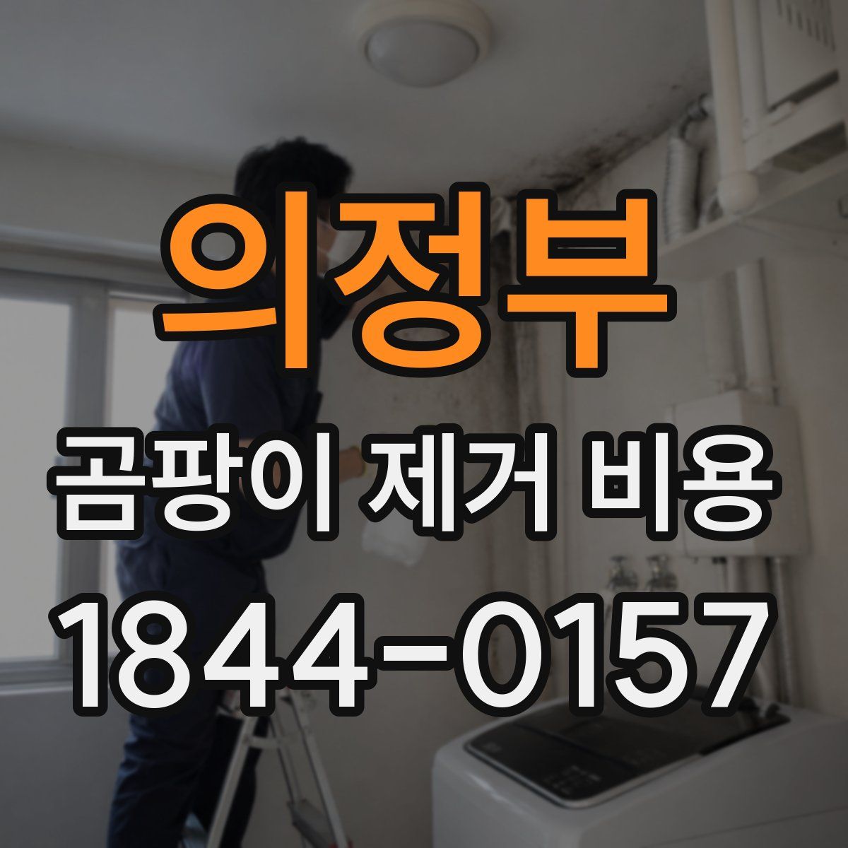 의정부 곰팡이 제거 비용