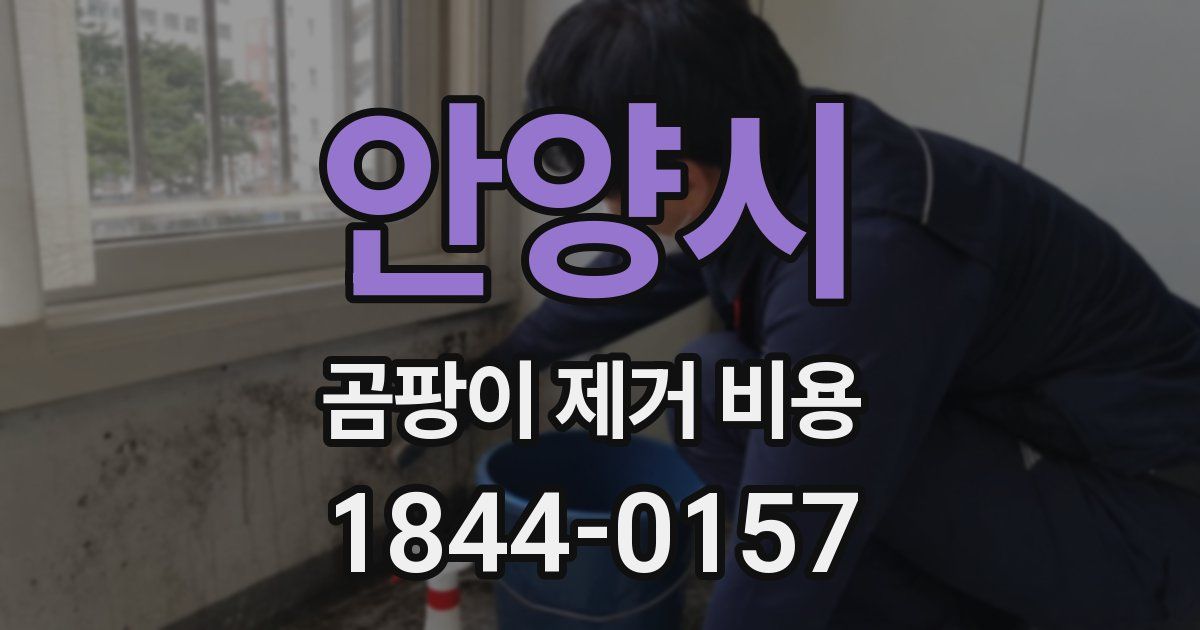 안양시 곰팡이 제거 비용
