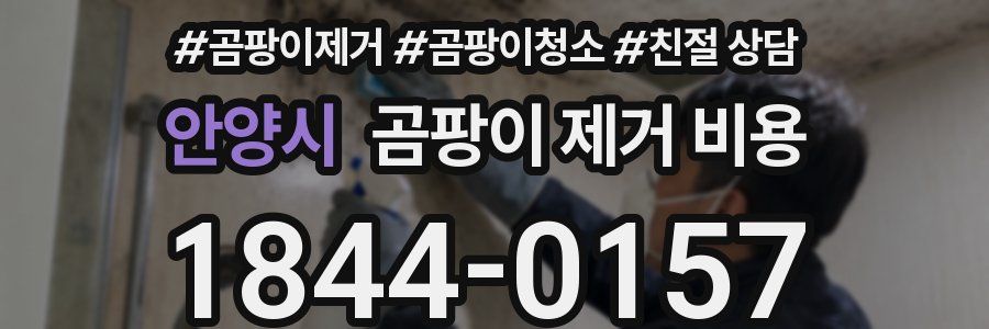 안양시 곰팡이 제거 비용