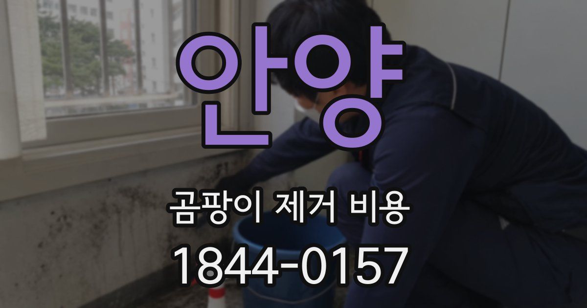 안양 곰팡이 제거 비용