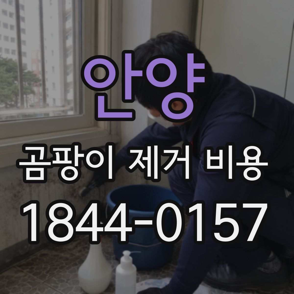 안양 곰팡이 제거 비용