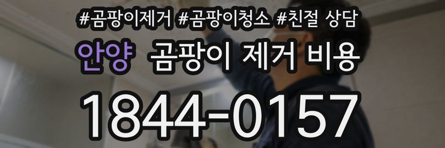 안양 곰팡이 제거 비용