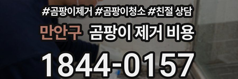만안구 곰팡이 제거 비용