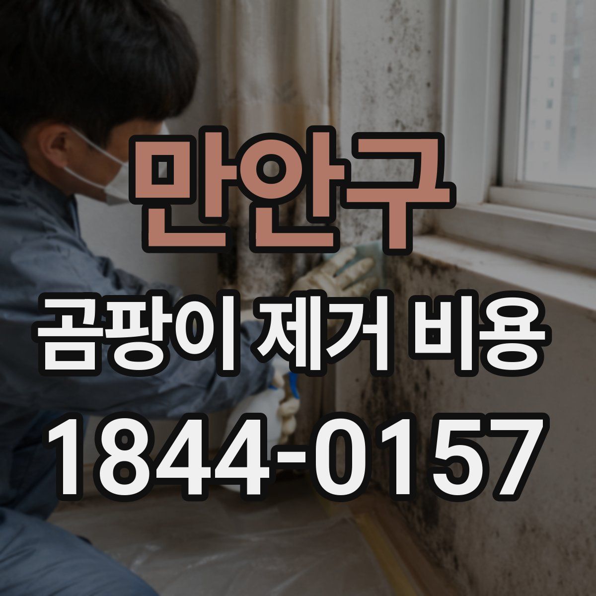 만안구 곰팡이 제거 비용