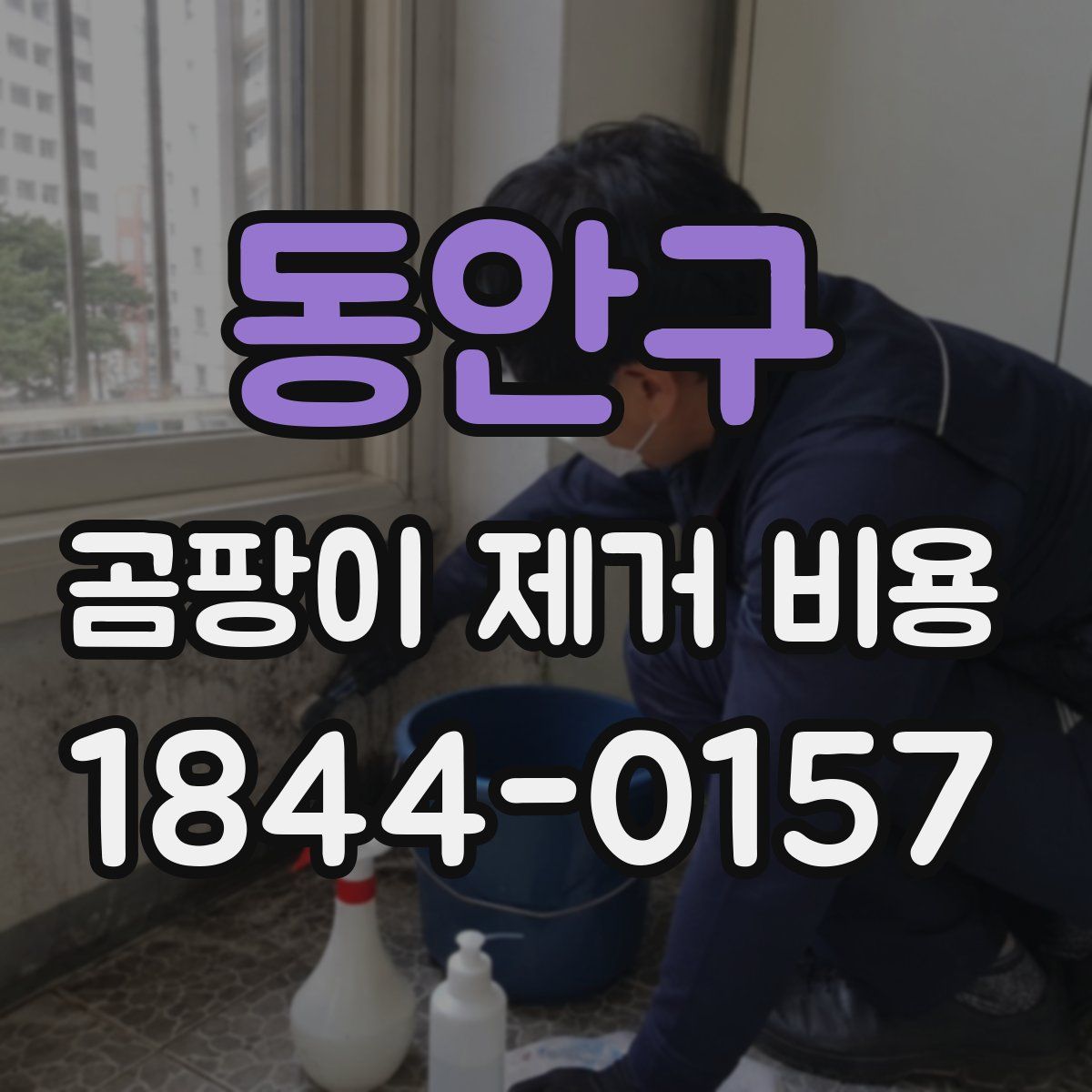 동안구 곰팡이 제거 비용