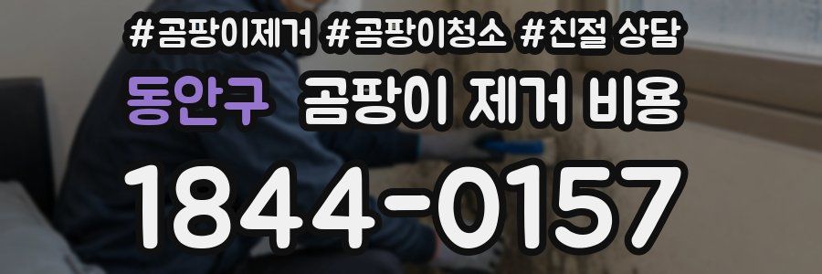 동안구 곰팡이 제거 비용