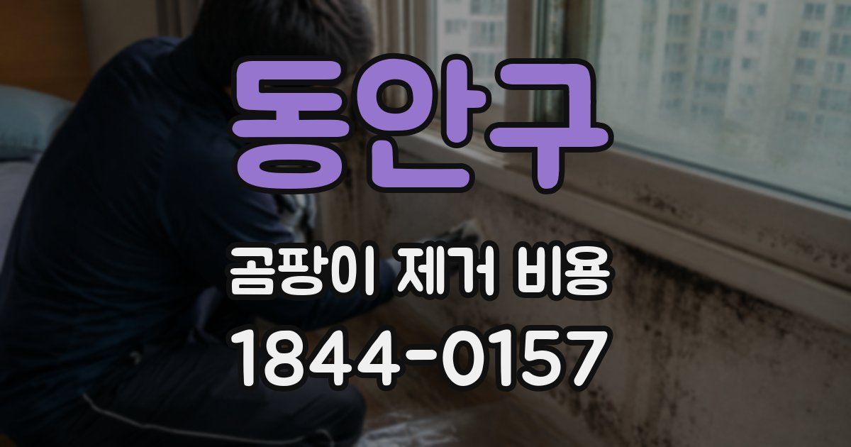 동안구 곰팡이 제거 비용