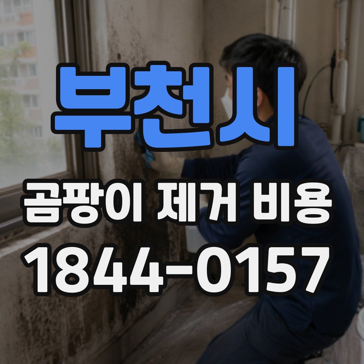 부천시 곰팡이 제거 비용