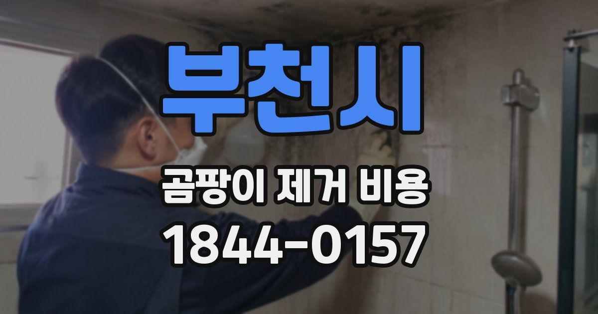 부천시 곰팡이 제거 비용