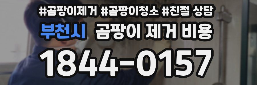 부천시 곰팡이 제거 비용