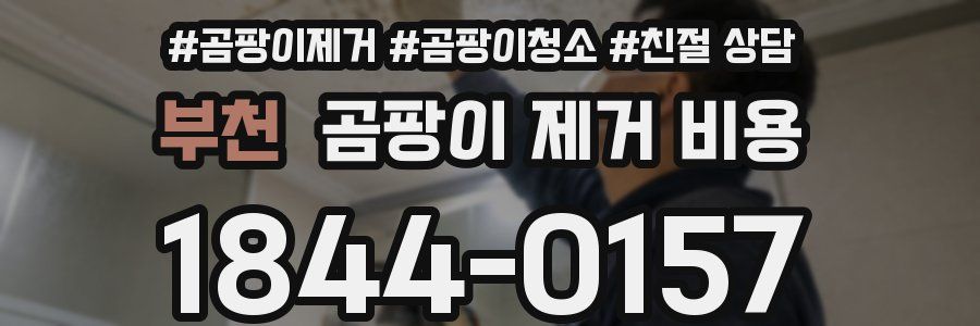 부천 곰팡이 제거 비용