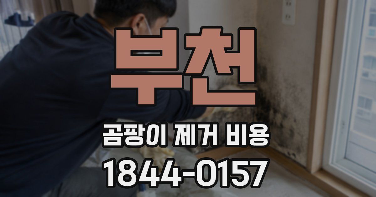 부천 곰팡이 제거 비용