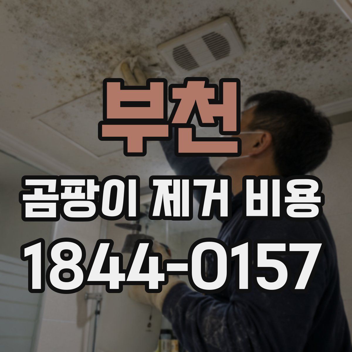 부천 곰팡이 제거 비용