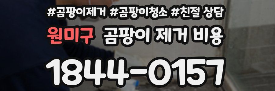 원미구 곰팡이 제거 비용