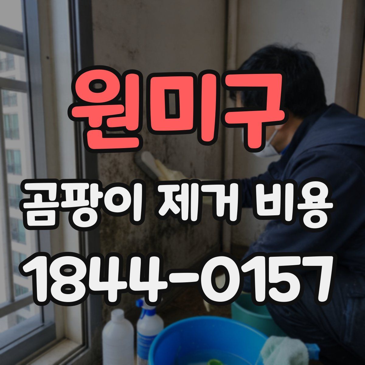 원미구 곰팡이 제거 비용