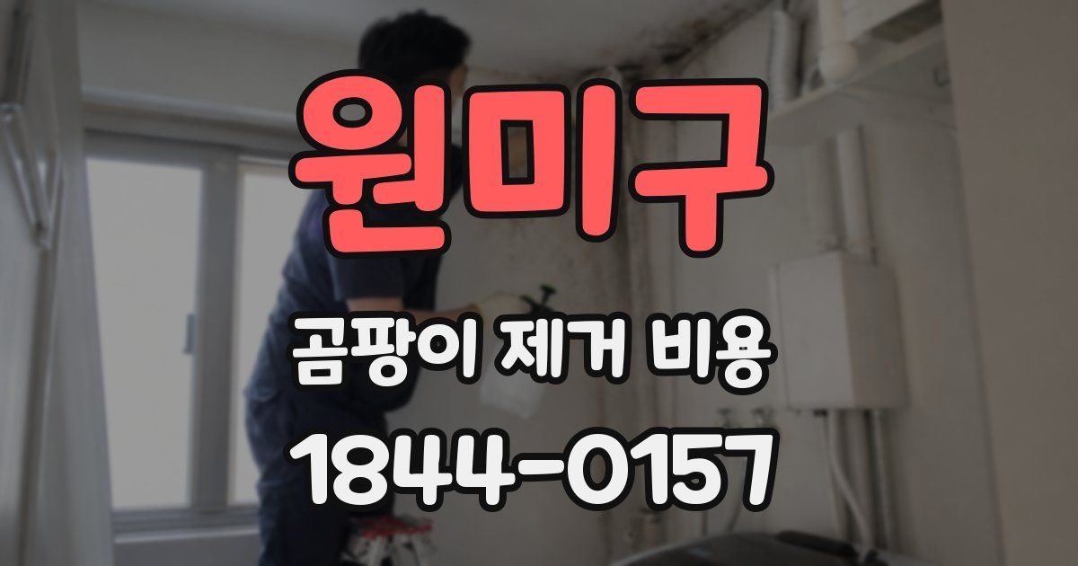 원미구 곰팡이 제거 비용