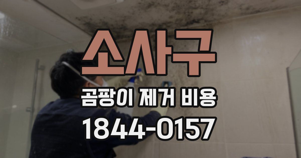 소사구 곰팡이 제거 비용