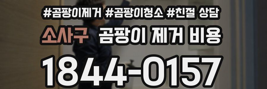 소사구 곰팡이 제거 비용