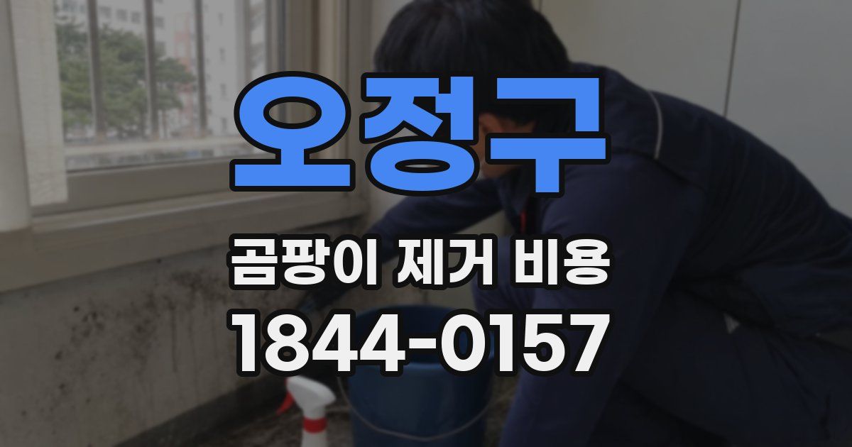 오정구 곰팡이 제거 비용