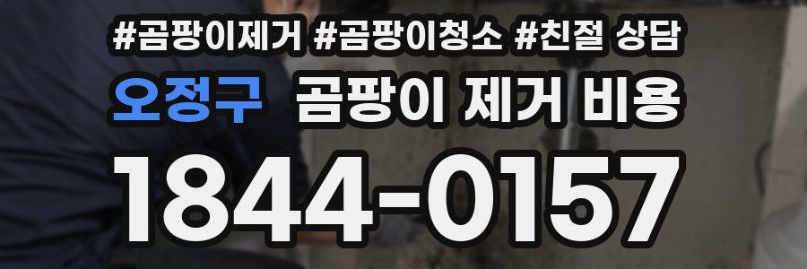 오정구 곰팡이 제거 비용