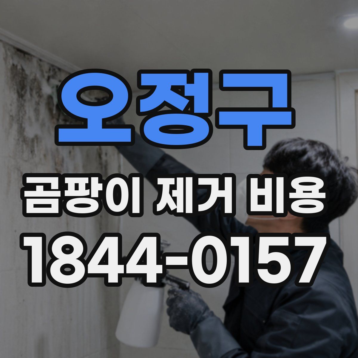 오정구 곰팡이 제거 비용