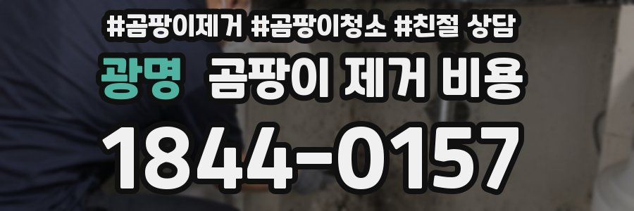 광명 곰팡이 제거 비용