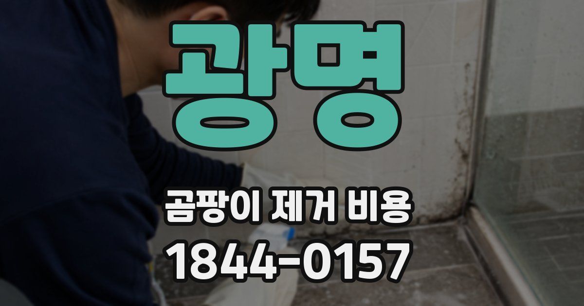 광명 곰팡이 제거 비용