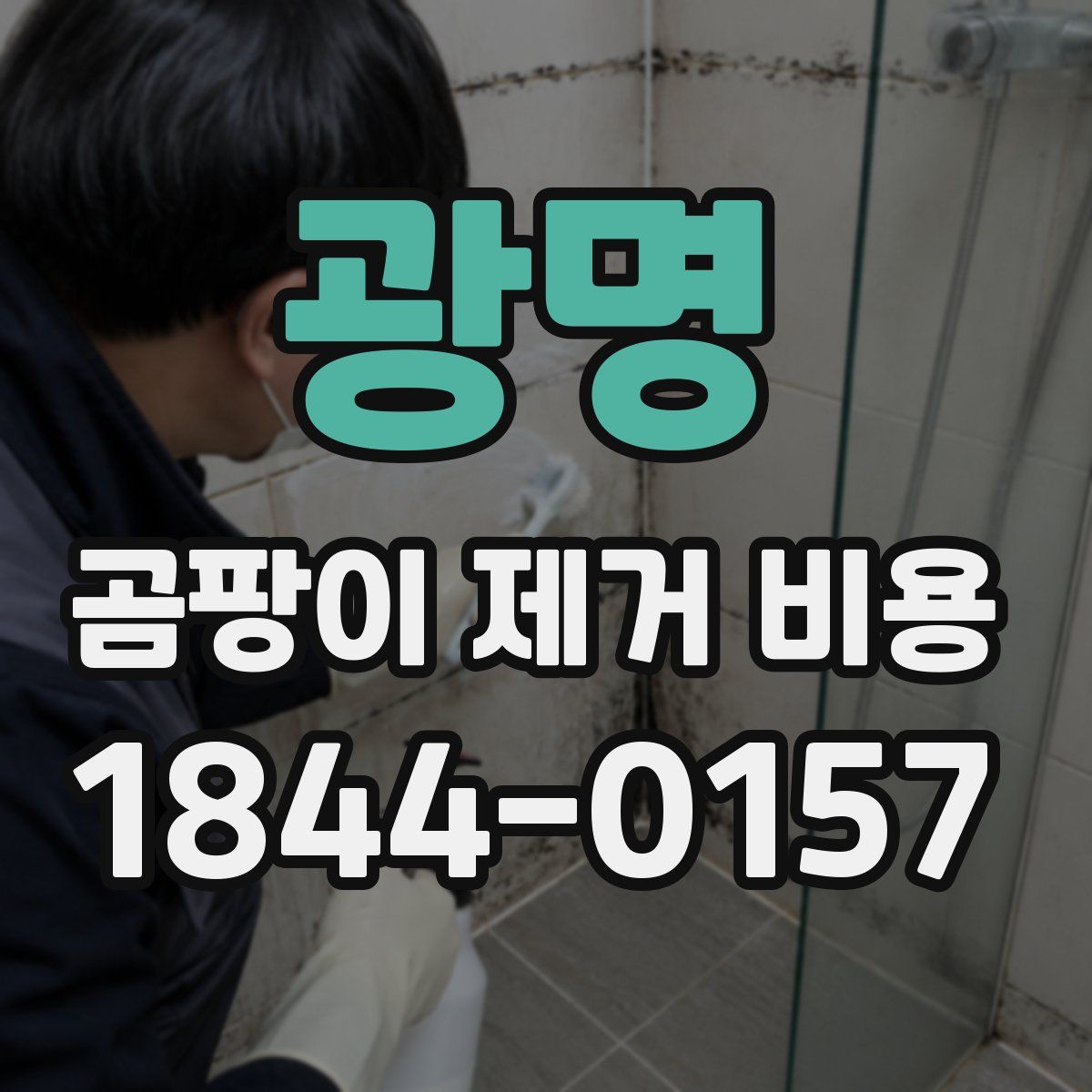 광명 곰팡이 제거 비용