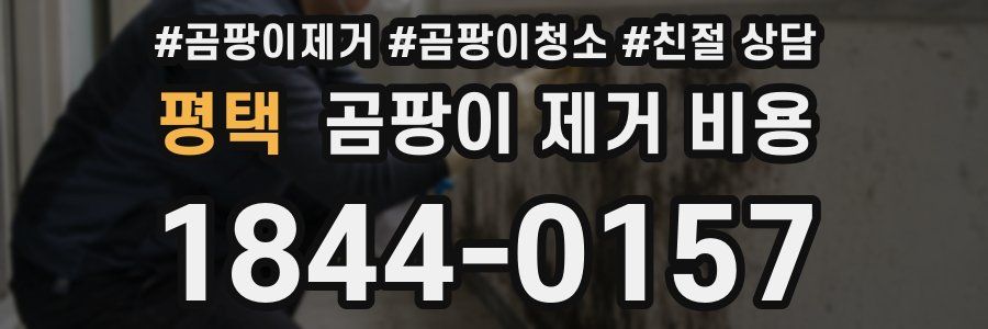평택 곰팡이 제거 비용
