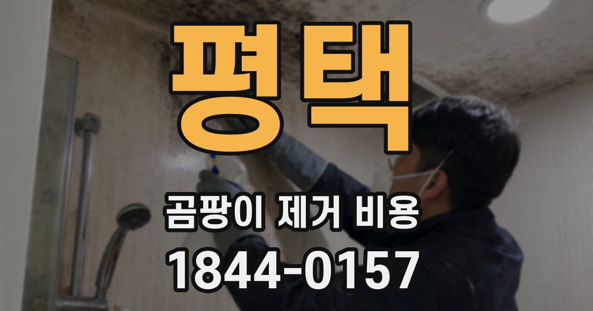 평택 곰팡이 제거 비용