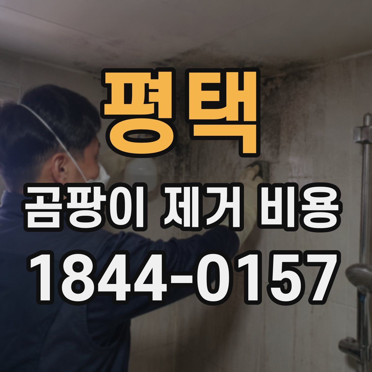 평택 곰팡이 제거 비용