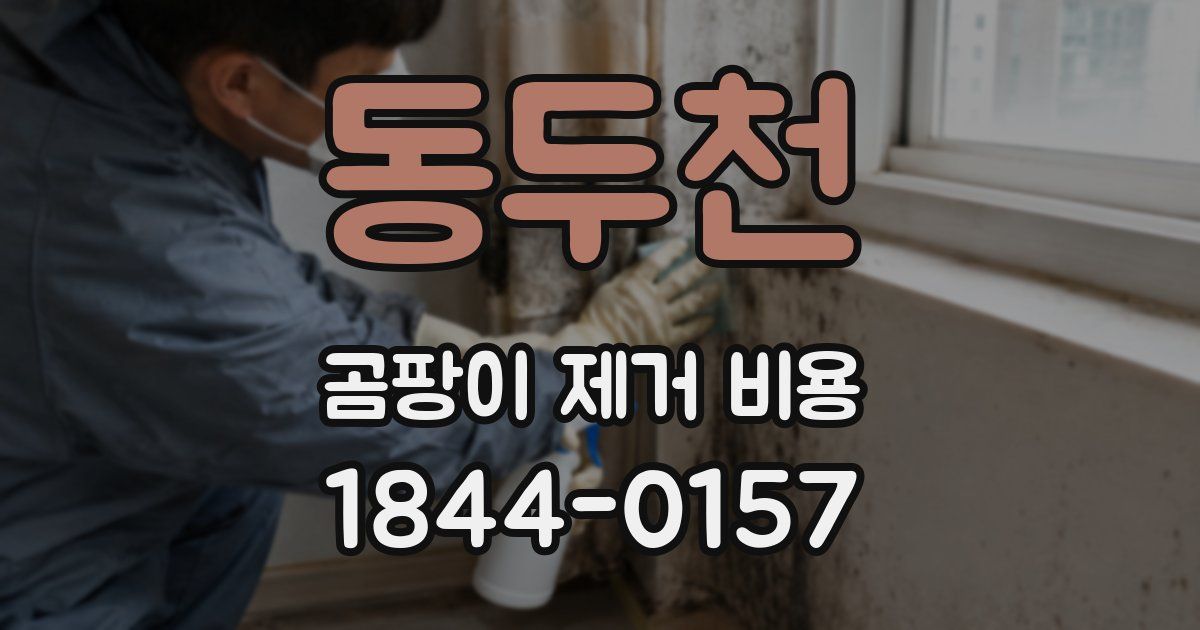 동두천 곰팡이 제거 비용