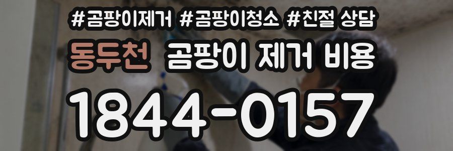동두천 곰팡이 제거 비용