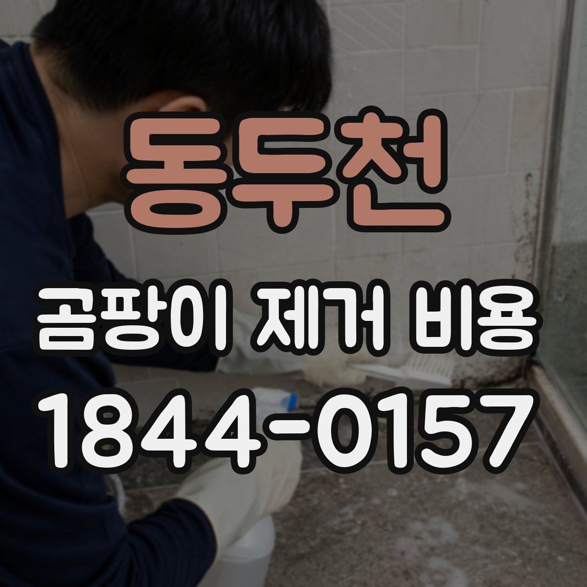 동두천 곰팡이 제거 비용