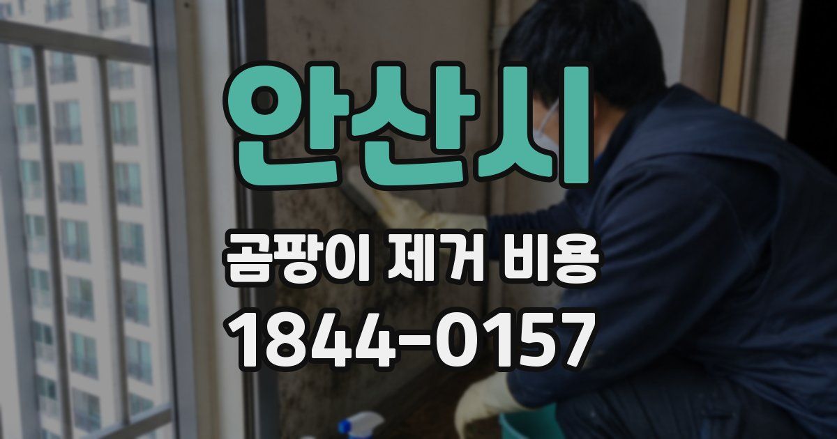 안산시 곰팡이 제거 비용