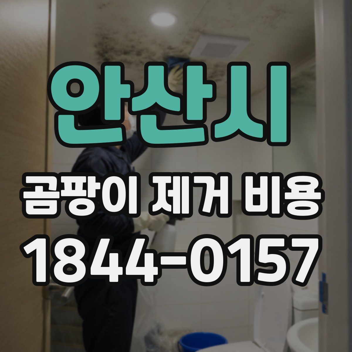 안산시 곰팡이 제거 비용