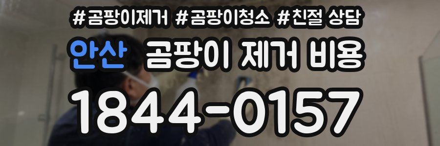 안산 곰팡이 제거 비용