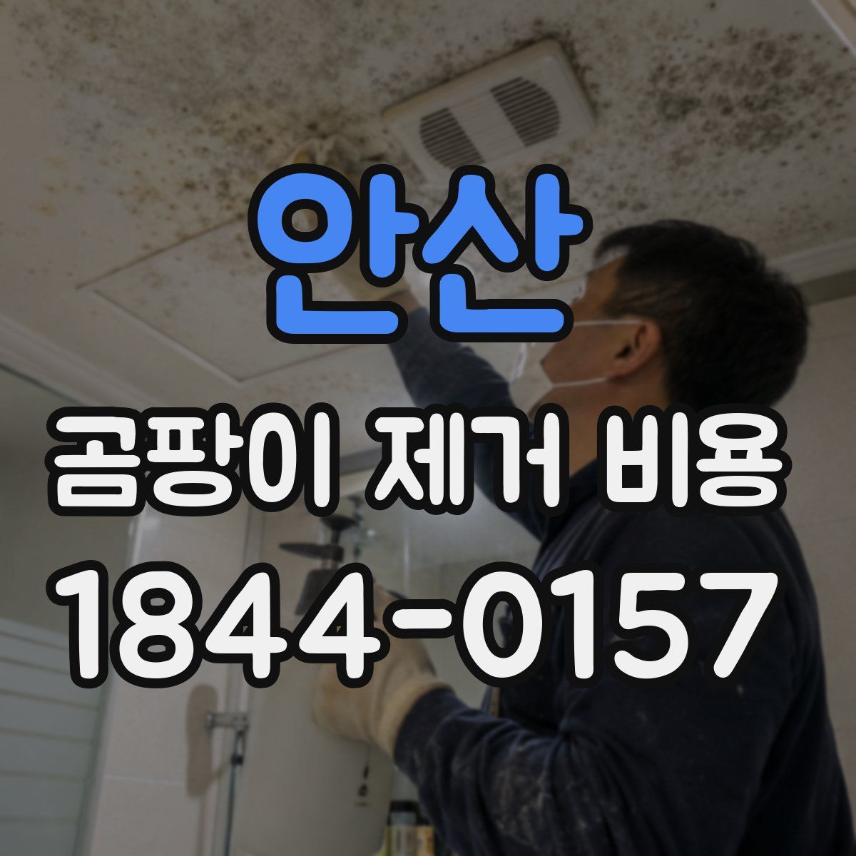 안산 곰팡이 제거 비용