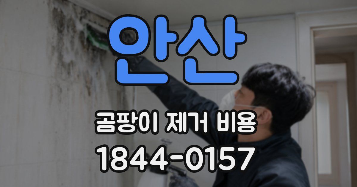 안산 곰팡이 제거 비용