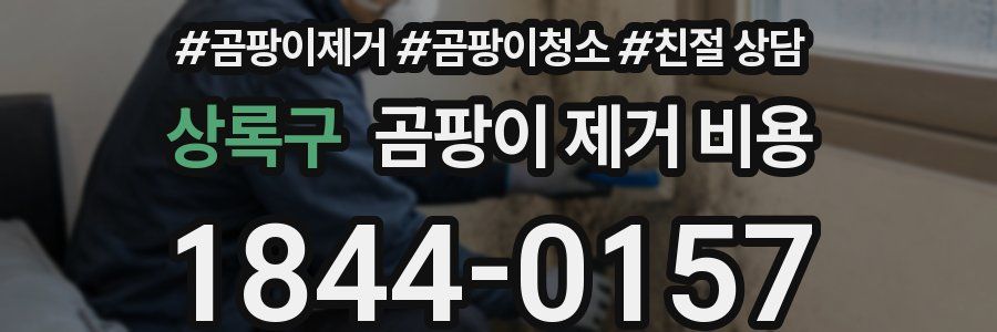 상록구 곰팡이 제거 비용