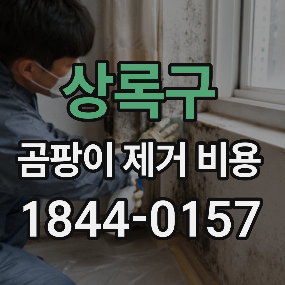 상록구 곰팡이 제거 비용