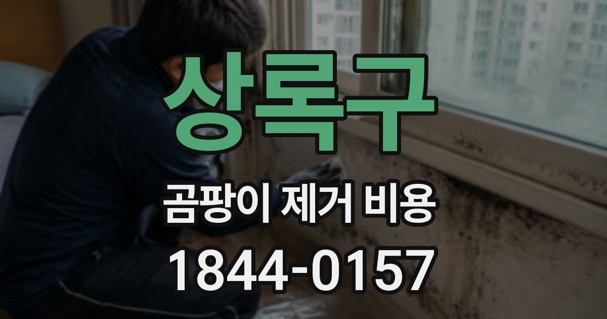 상록구 곰팡이 제거 비용