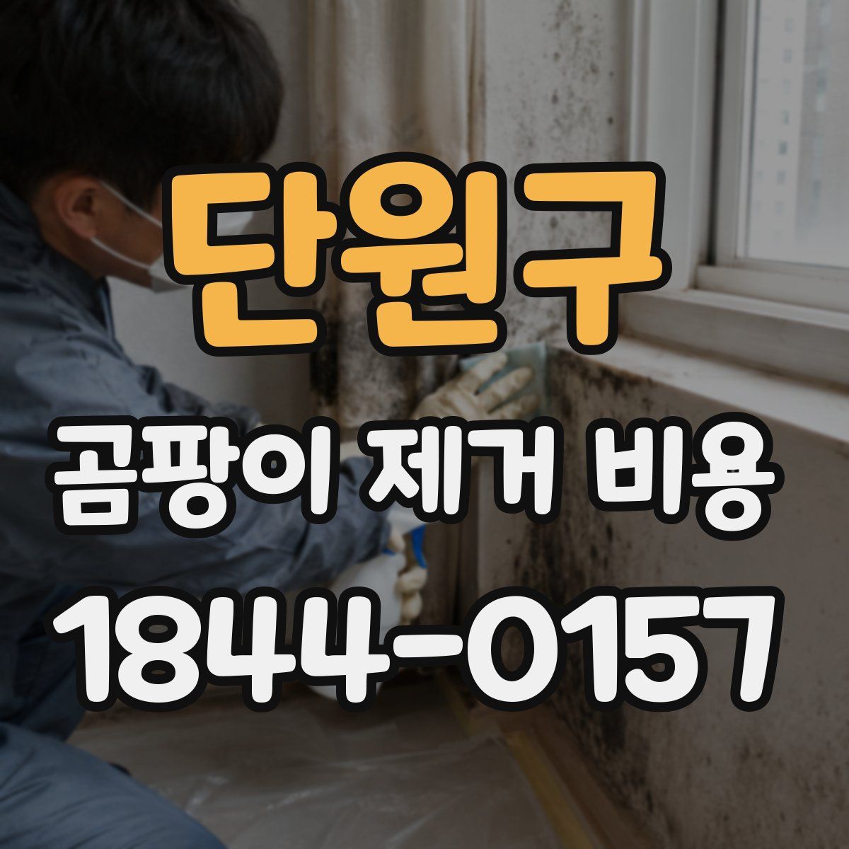 단원구 곰팡이 제거 비용