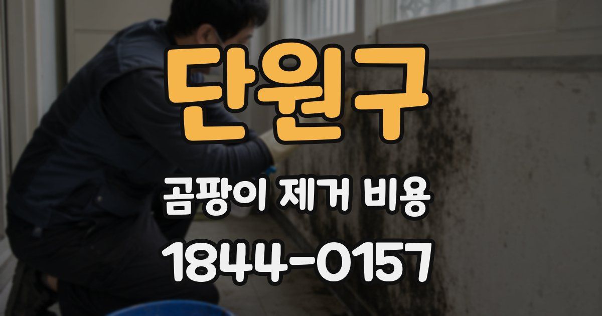 단원구 곰팡이 제거 비용