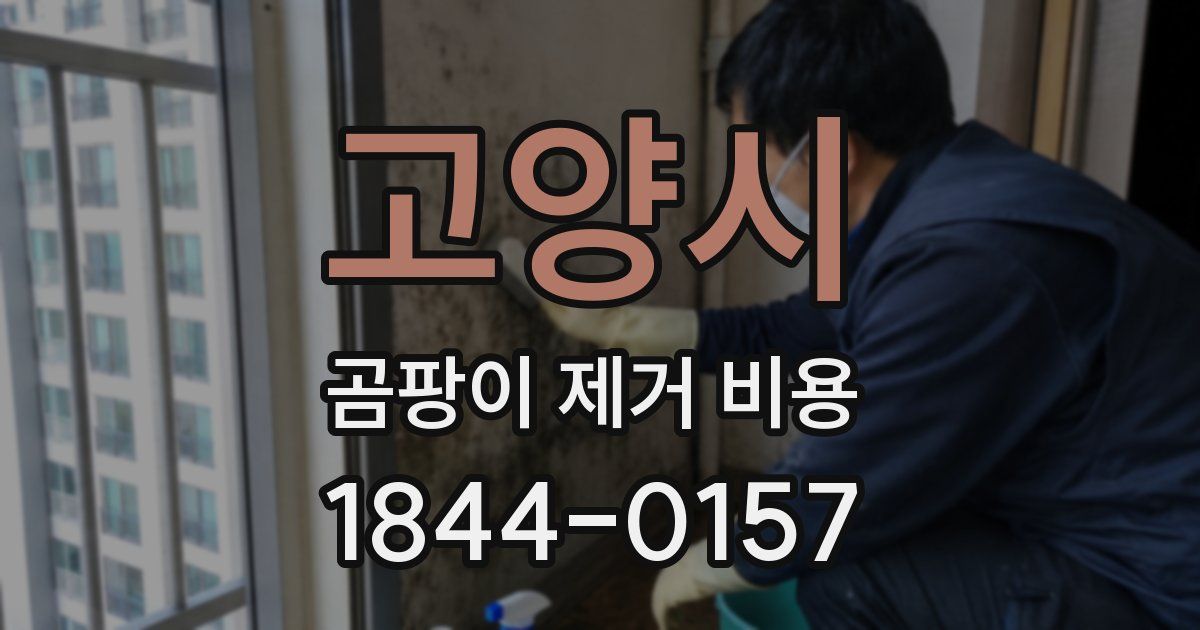 고양시 곰팡이 제거 비용