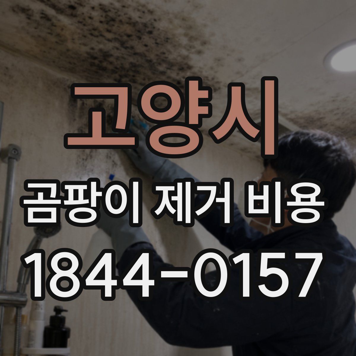 고양시 곰팡이 제거 비용