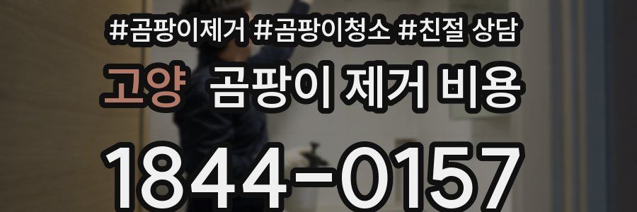 고양 곰팡이 제거 비용