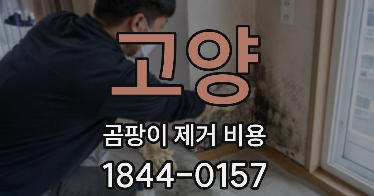 고양 곰팡이 제거 비용